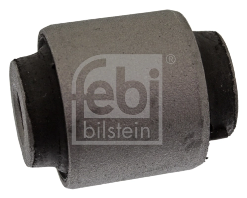 Mounting, control/trailing arm